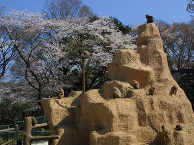桐生が岡動物園
