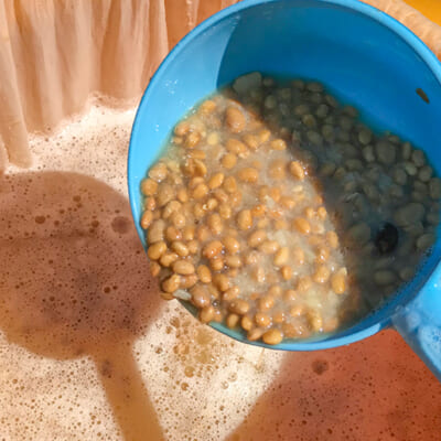 納豆菌の力を活かした土づくり