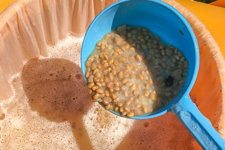 納豆菌の力を活かした土づくり